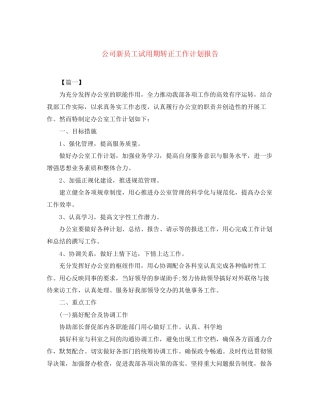 公司新员工试用期转正工作计划报告