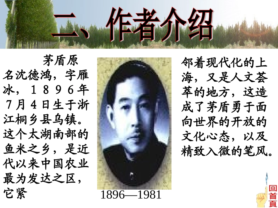 白杨礼赞课件_第3页