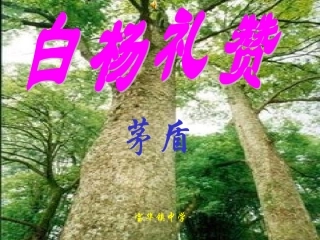 白杨礼赞课件