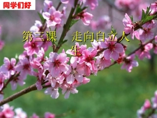 三（2）告别依赖走向自立