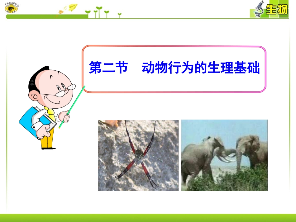 第二节动物行为的生理基础_第1页