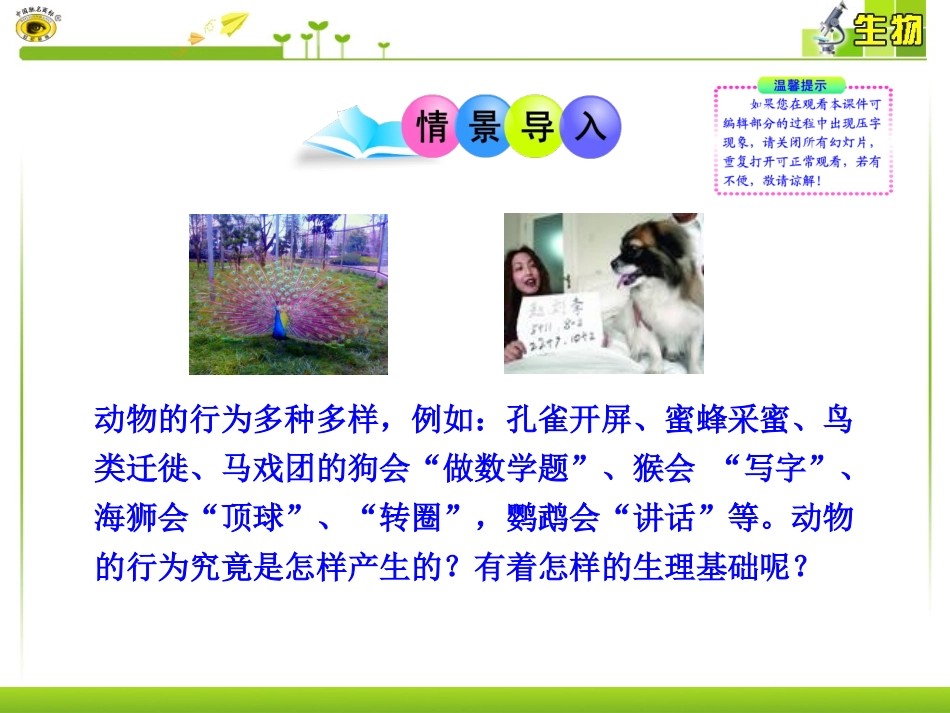 第二节动物行为的生理基础_第2页