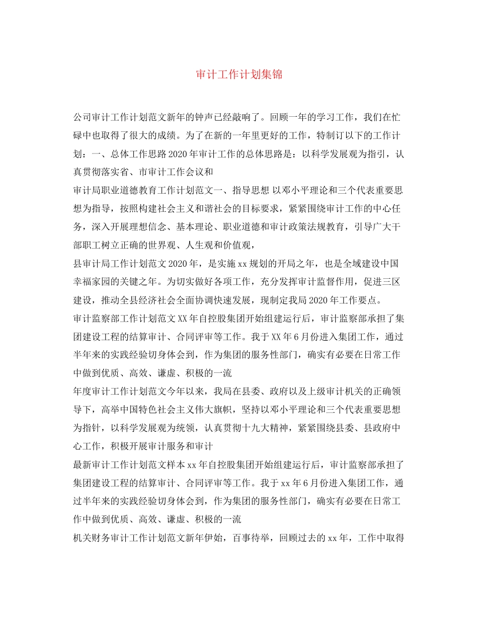 审计工作计划集锦_第1页