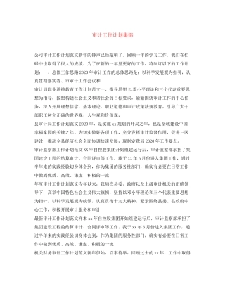 审计工作计划集锦