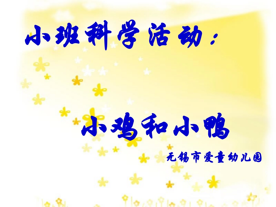 小班科学活动：小鸡和小鸭_第1页