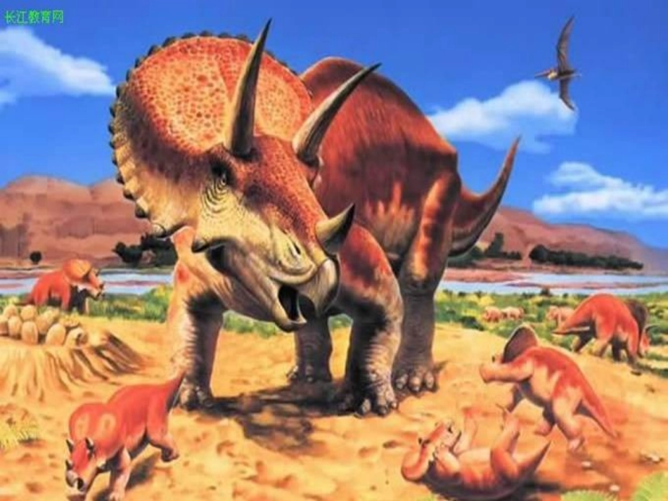 三年级恐龙课件_第2页