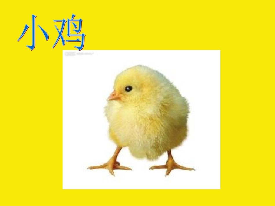 小班综合活动《出生的秘密》_第2页