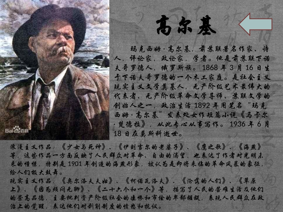 名著阅读《童年》-_第2页