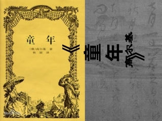 名著阅读《童年》-