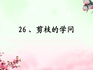 剪枝的学问课件