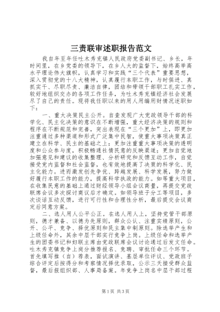 三责联审述职报告范文