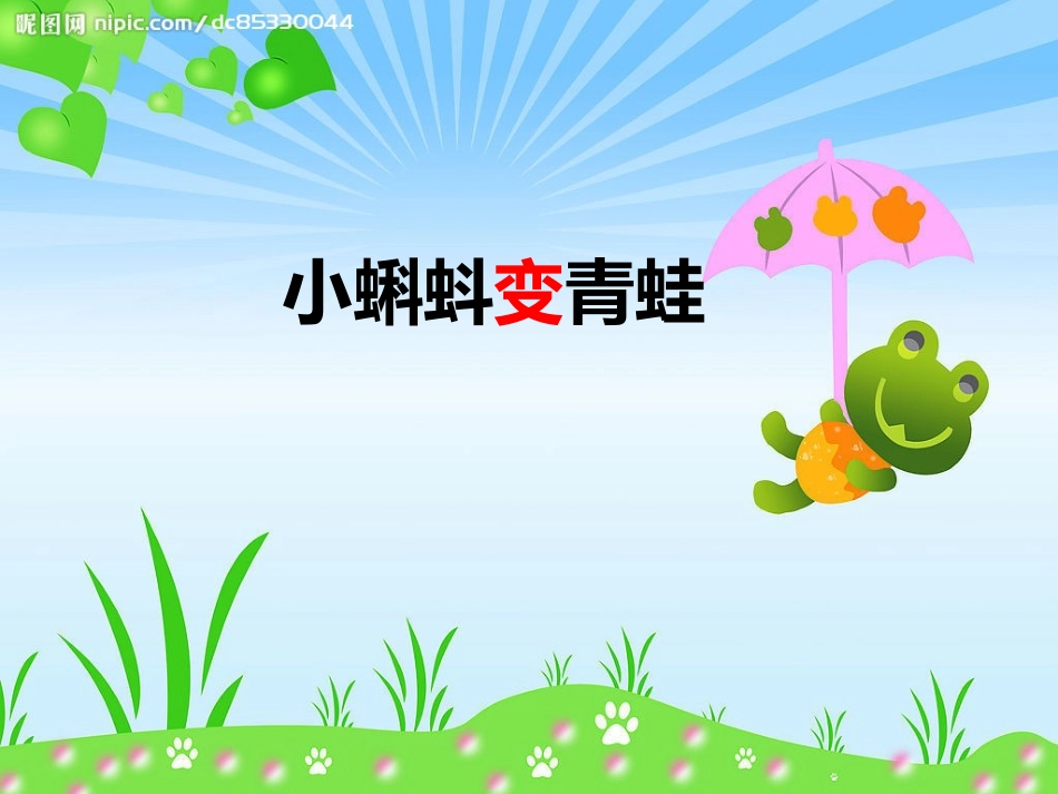 小蝌蚪变青蛙_第1页