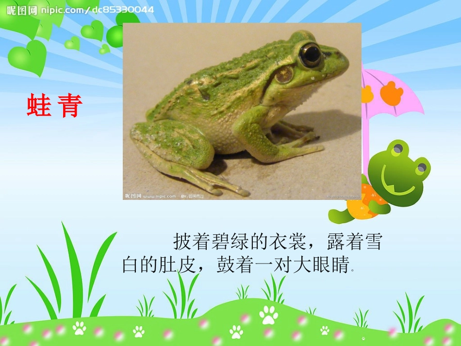 小蝌蚪变青蛙_第3页
