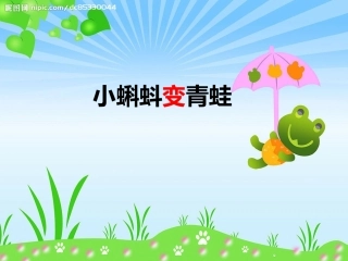 小蝌蚪变青蛙