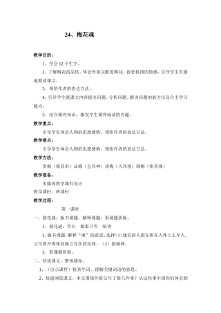 《梅花魂》教案