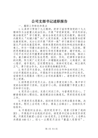 公司支部书记述职报告