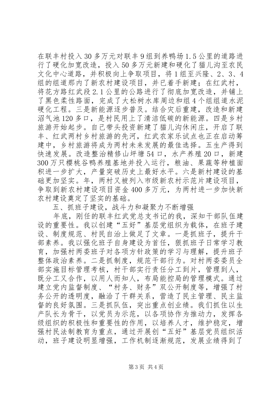 乡间村党支部干部个人述职_第3页