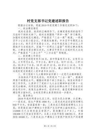 村党支部书记党建述职报告