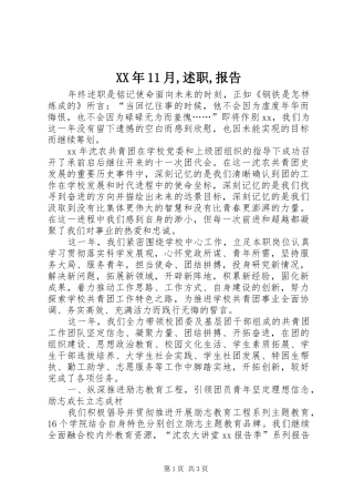 XX年11月,述职,报告