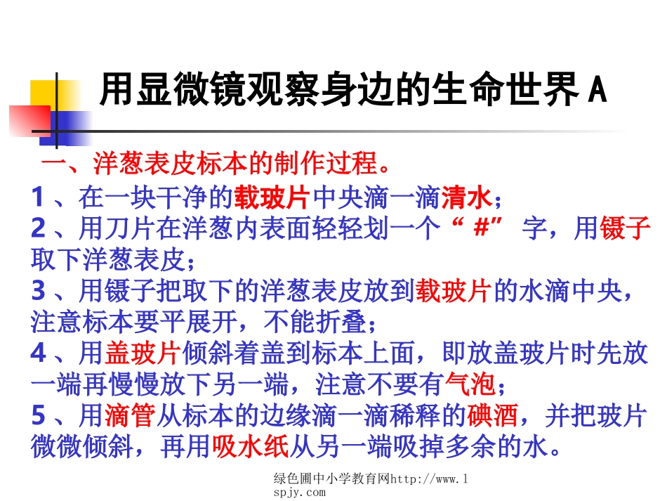 教科版六年级下册科学第一单元《第5课用显微镜观察身边的生命世界一PPT课件》_第2页