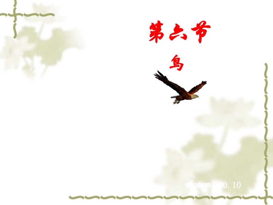 人教版八年级生物上册第一章第六节鸟槐英梅_第1页