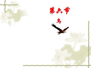 人教版八年级生物上册第一章第六节鸟槐英梅