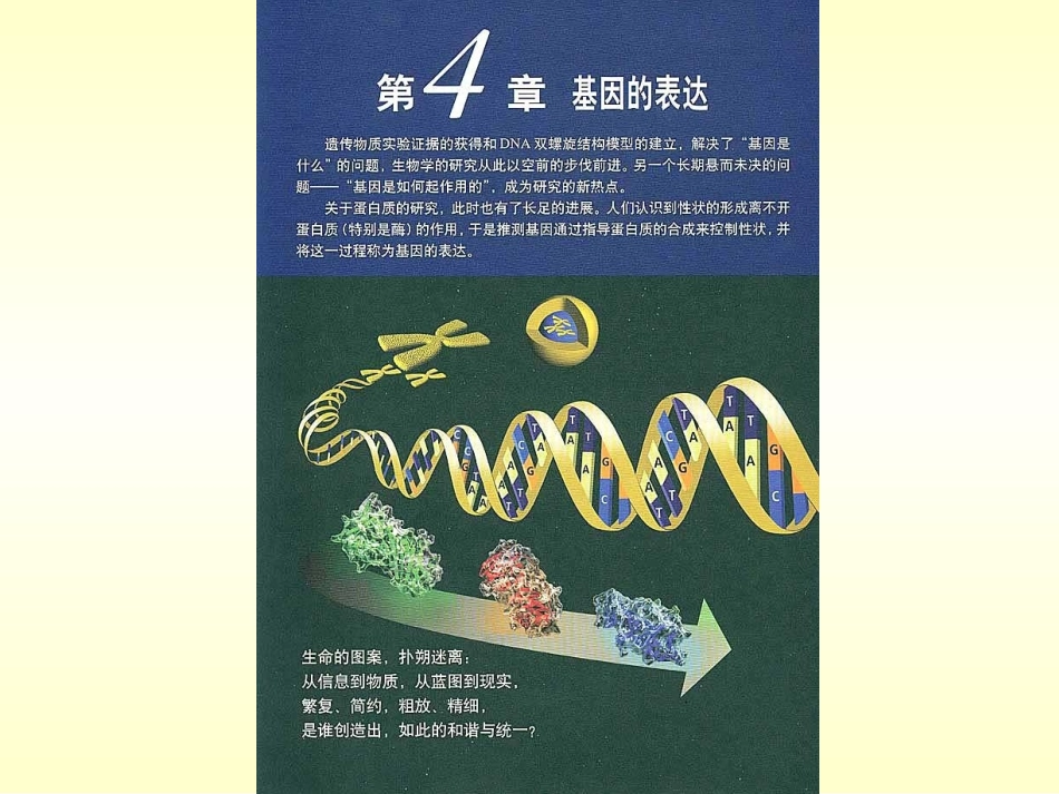 生物②必修42《基因对性状的控制》PPT课件_第1页