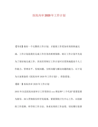 医院内审年工作计划
