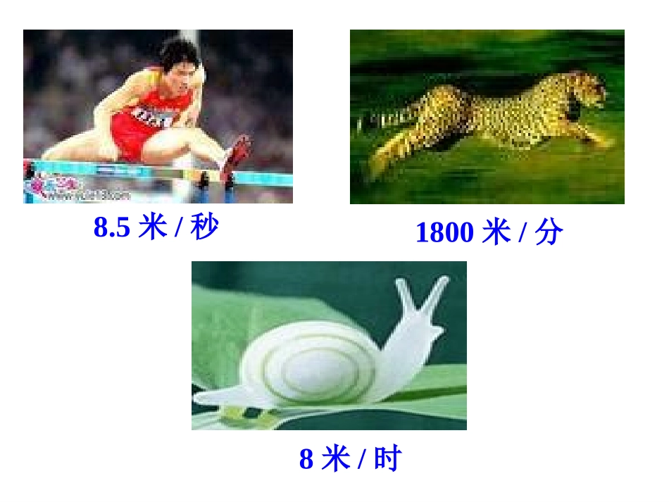 时间、路程与速度PPT_第3页