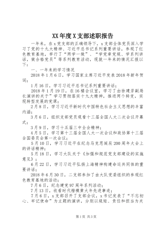 XX年度X支部述职报告
