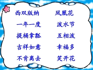 苏教版语文《欢乐的泼水节》