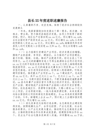 县长XX年度述职述廉报告