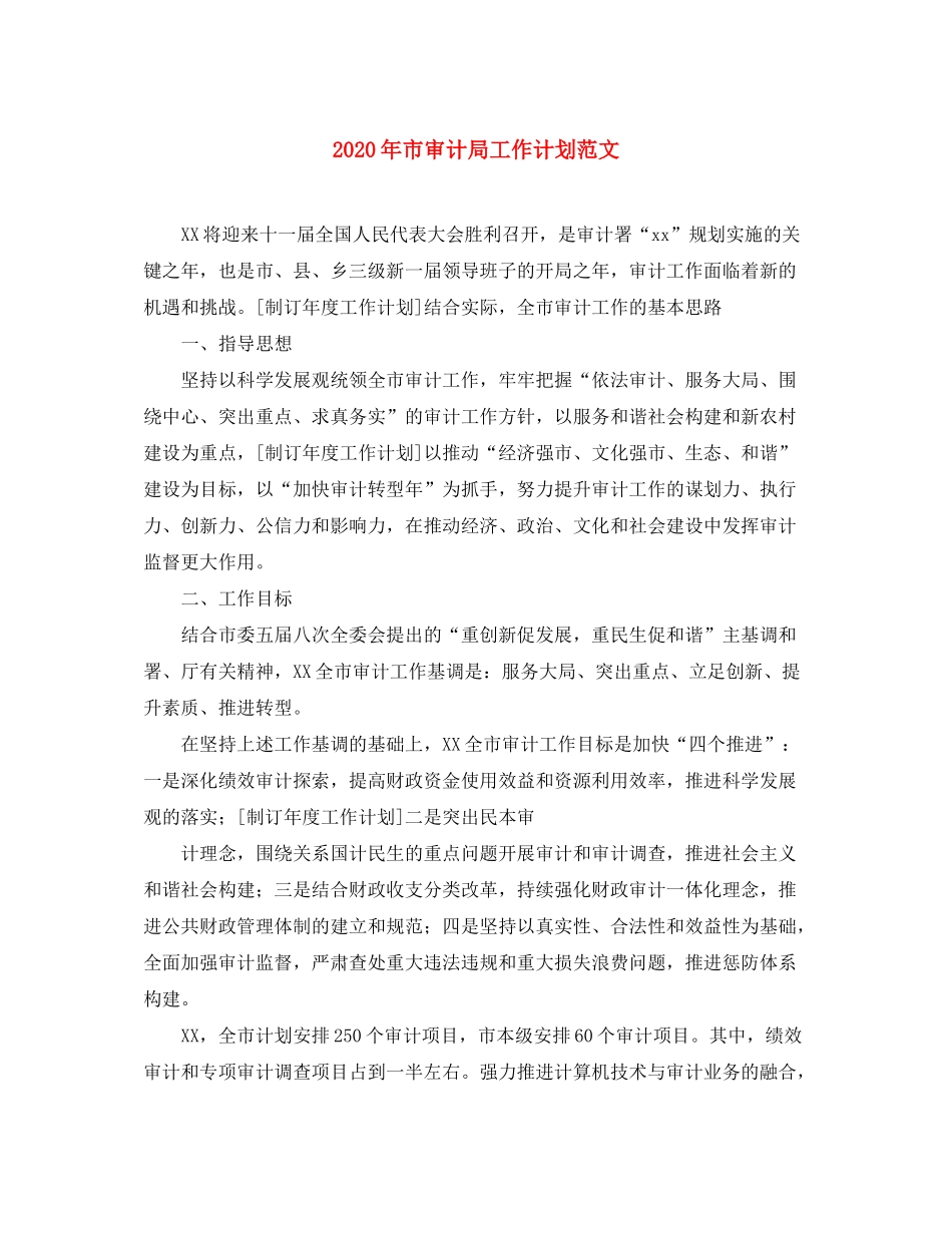 2020年市审计局工作计划范文_第1页