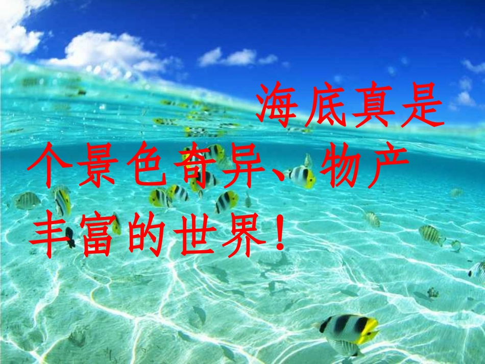 海底世界jsp_第2页