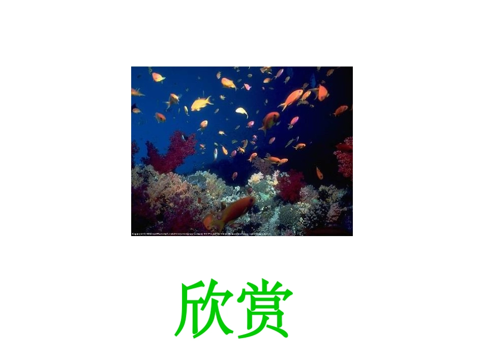 海底世界jsp_第3页