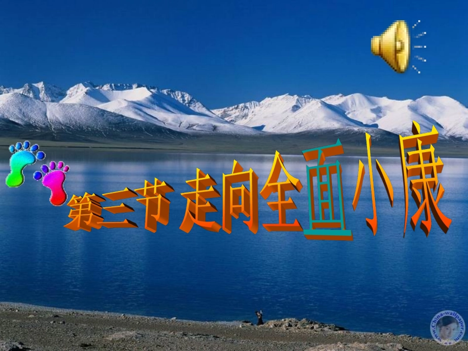 八年级下册走向全面小康_第1页