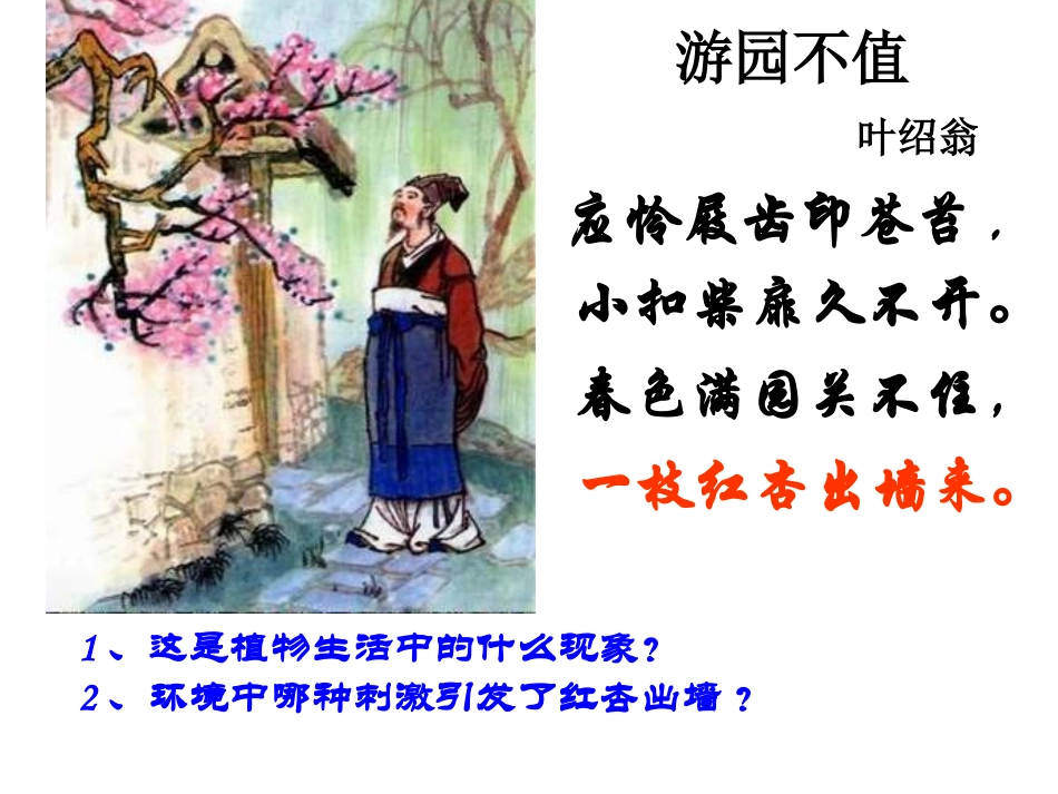 植物生长素的发现 (2)_第2页