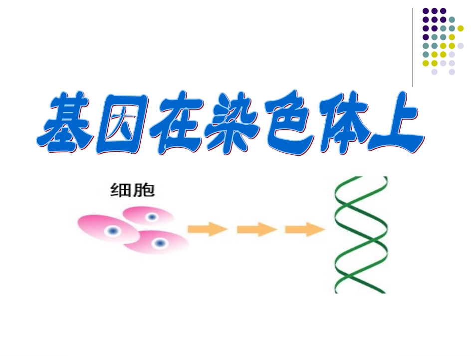 第二节基因在染色体上_第2页