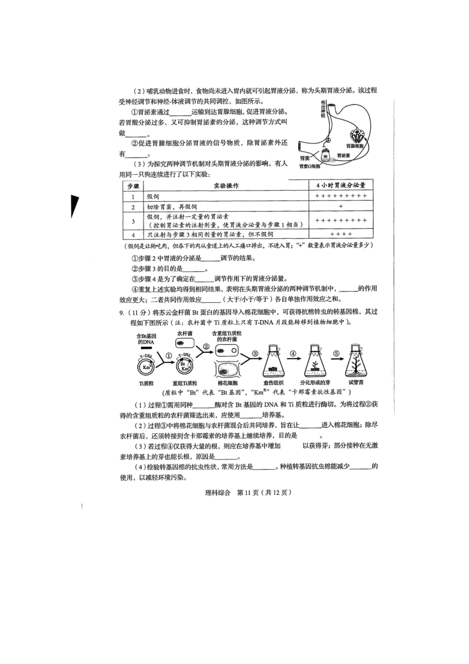 2015年四川高考生物卷_第3页