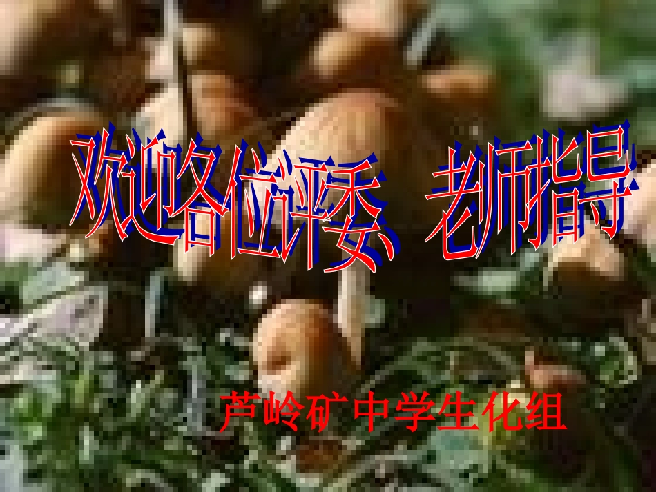 细菌真菌和病毒_第1页