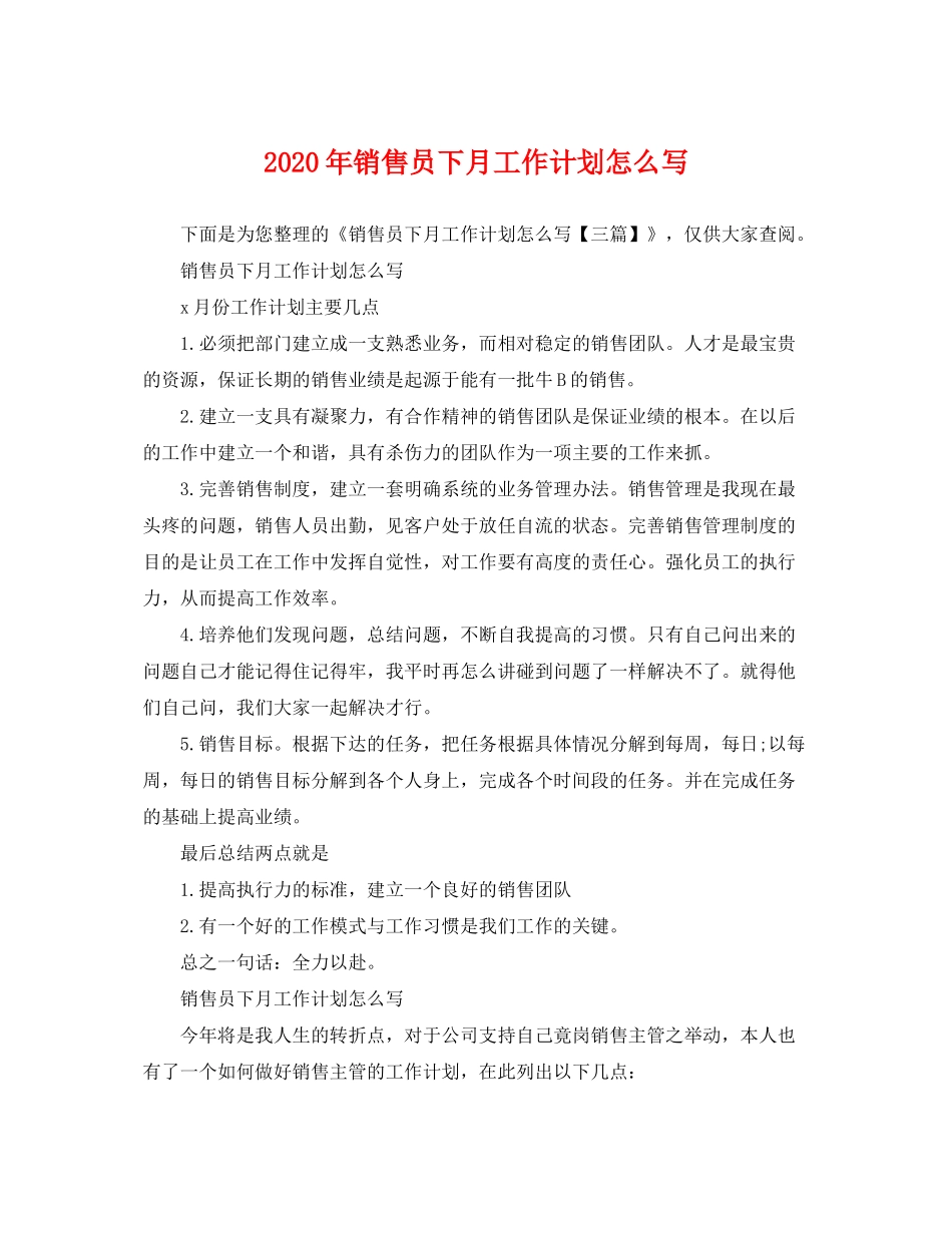 2020年销售员下月工作计划怎么写_第1页