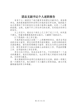 团总支副书记个人述职报告