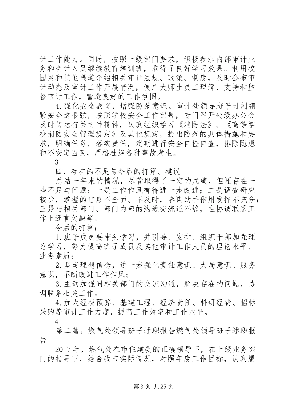 审计处领导班子述职报告_第3页