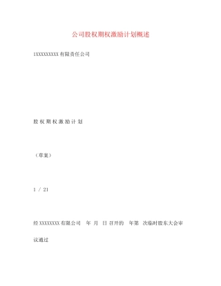 公司股权期权激励计划概述