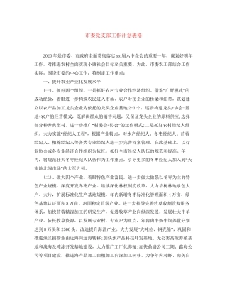 市委党支部工作计划表格