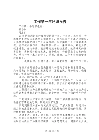 工作第一年述职报告