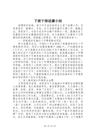 下派干部述廉小结