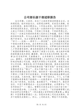 公司部长级干部述职报告