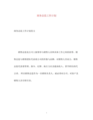 商务总监工作计划2