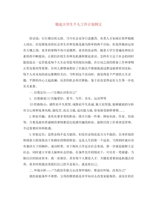 精选大学生个人工作计划例文